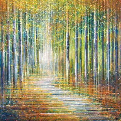 Summer Forest At Sunset by Marc Todd framed wall art