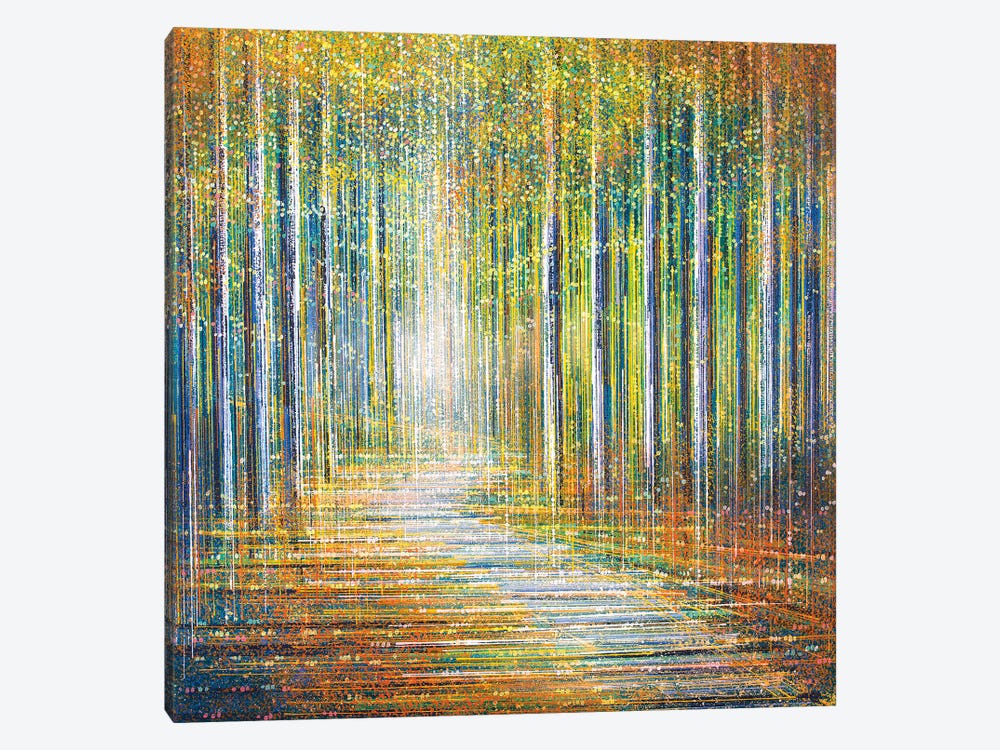 Summer Forest At Sunset Canvas Print by Marc Todd | iCanvas