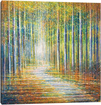 Summer Forest At Sunset Canvas Art Print - Marc Todd