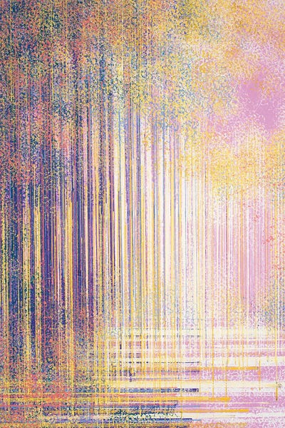 Gentle Forest Light by Marc Todd framed wall art