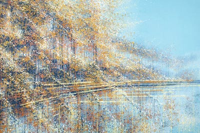 Autumn Trees Reflections by Marc Todd framed wall art