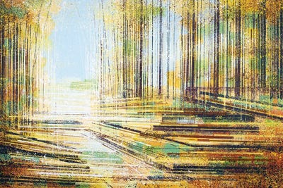 Forest Path In Autumn by Marc Todd framed wall art