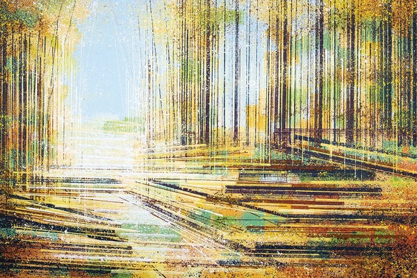 Marc Todd: Forest Path In Autumn by Marc Todd
