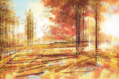 Autumn Trees In Warm Evening Light by Marc Todd framed wall art