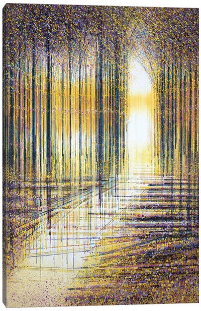 Autumn Trees In Evening Light Canvas Art Print - Marc Todd