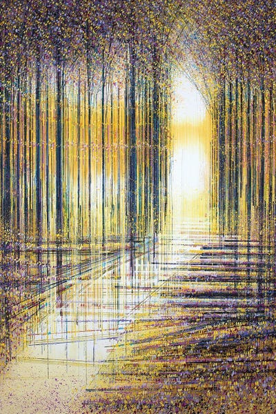Marc Todd: Autumn Trees In Evening Light by Marc Todd