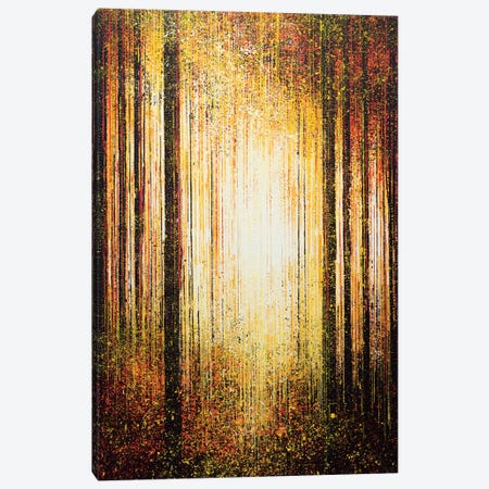 Golden Light Through Trees Canvas Print #MRC6} by Marc Todd Canvas Wall Art