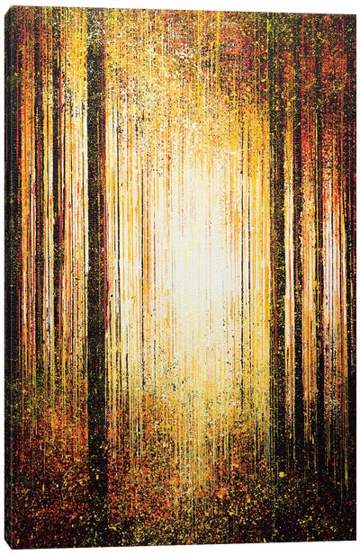 Golden Light Through Trees Canvas Art Print