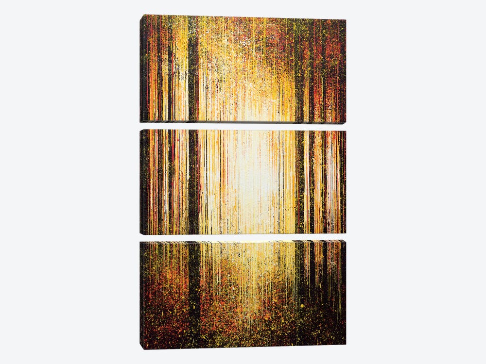Golden Light Through Trees by Marc Todd 3-piece Canvas Art Print