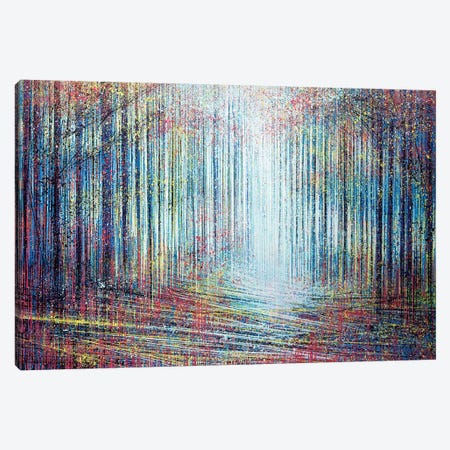 Morning Light In The Forest Canvas Print #MRC7} by Marc Todd Canvas Art