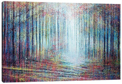 Morning Light In The Forest Canvas Art Print
