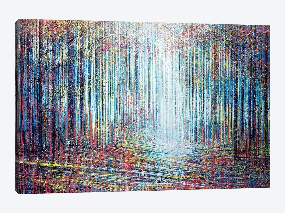 Morning Light In The Forest by Marc Todd 1-piece Canvas Art
