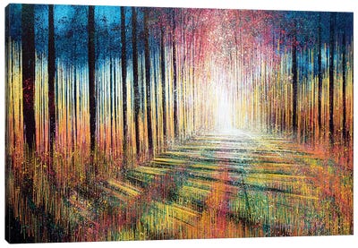 Morning Light Through Trees Canvas Art Print