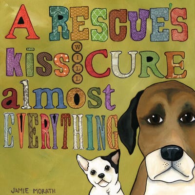 A Rescue's Kiss by Jamie Morath framed canvas print