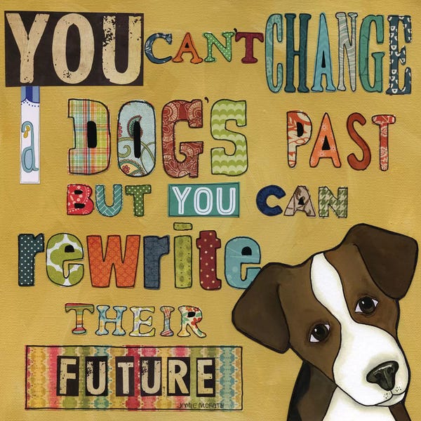 Animal Rights: Their Future by Jamie Morath