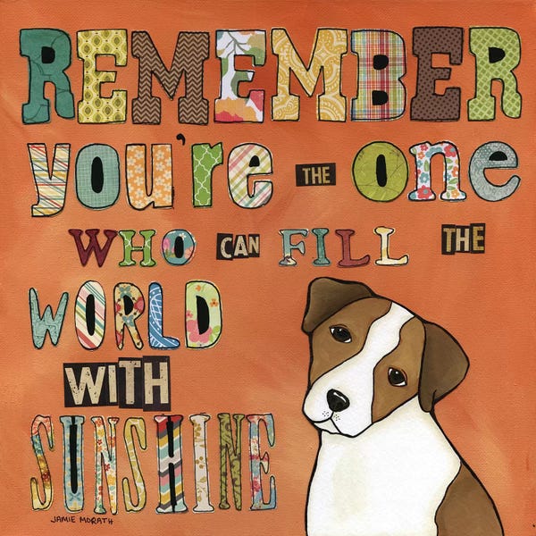 Pet Adoption & Fostering: Remember by Jamie Morath