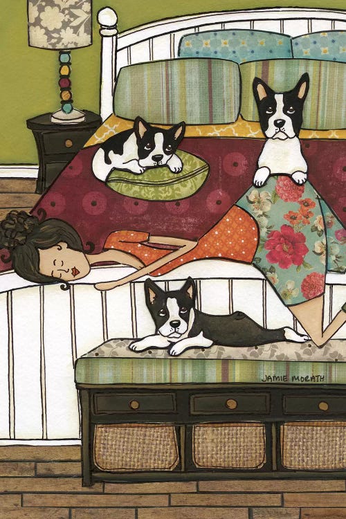 Boston's Bed by Jamie Morath wall art