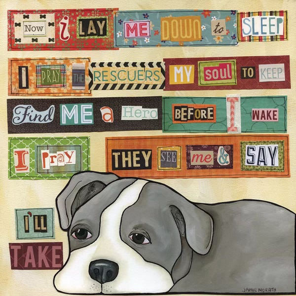 Pet Adoption & Fostering: I'll Take by Jamie Morath