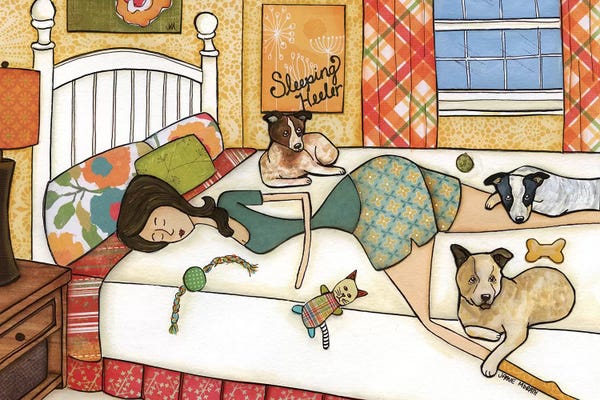 Sleeping & Napping: Sleeping Heeler by Jamie Morath