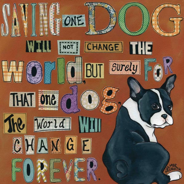 Pet Adoption & Fostering: Dog World Forever by Jamie Morath