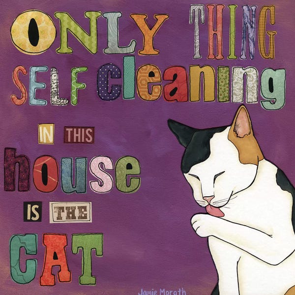 Funny Typography: Self Cleaning Cat by Jamie Morath