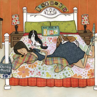 King Of The Bed by Jamie Morath acrylic art print