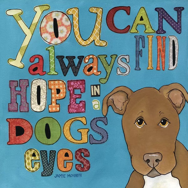 Pet Adoption & Fostering: Find Hope by Jamie Morath