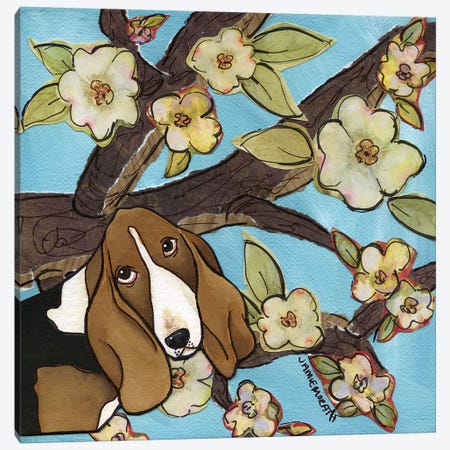 Spring Basset Canvas Print #MRH353} by Jamie Morath Canvas Artwork