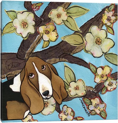 Spring Basset Canvas Art Print - Basset Hound Art