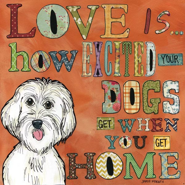 Pet Adoption & Fostering: Excited Your Dog Gets by Jamie Morath