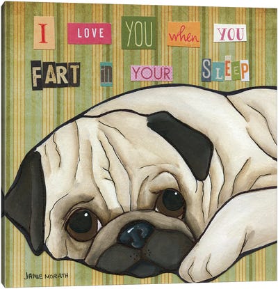 Fart In Your Sleep Canvas Art Print - Jamie Morath