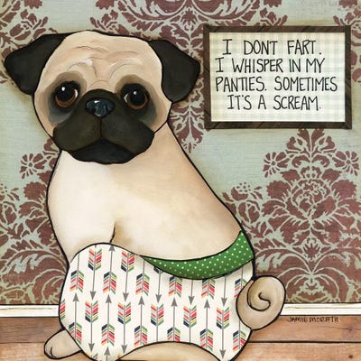 I Don't Fart by Jamie Morath metal wall art