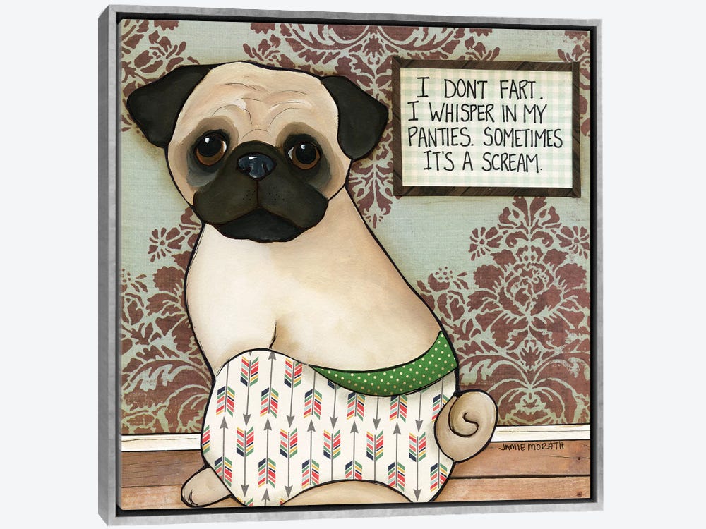 I Don't Fart Canvas Wall Art by Jamie Morath