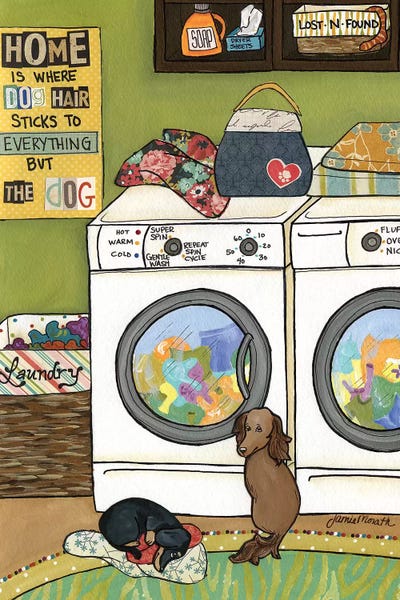 Dachshunds: Home  by Jamie Morath