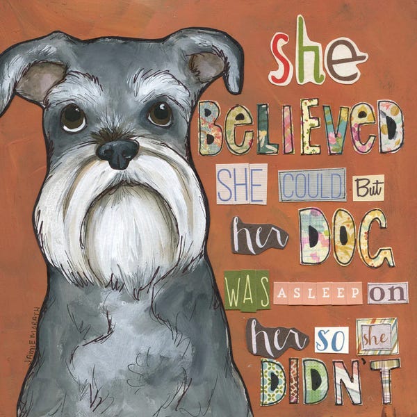 Pet Obsessed: So She Didn't by Jamie Morath