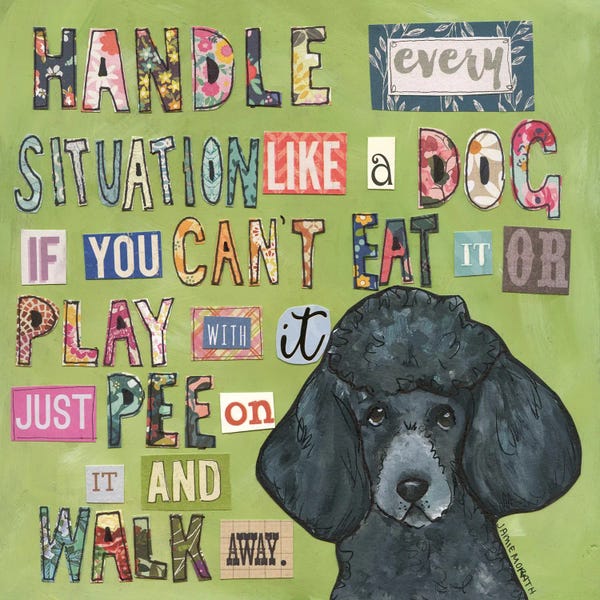 Poodles: Every Situation by Jamie Morath