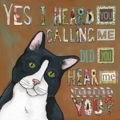 I Hear You by Jamie Morath metal wall art