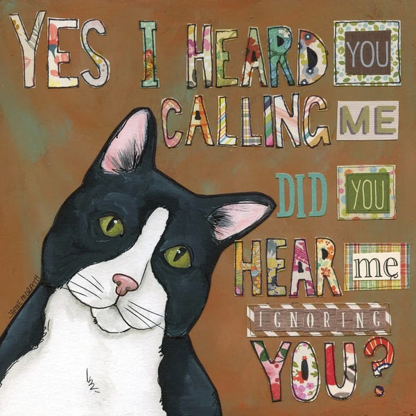 I Hear You