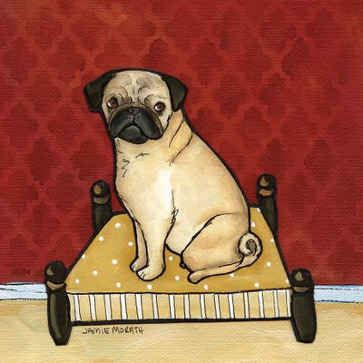 Lady Pug by Jamie Morath canvas print