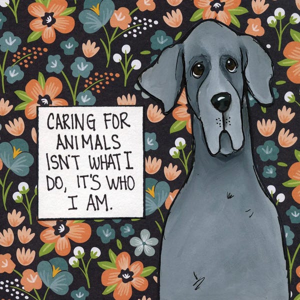 Jamie Morath: Caring by Jamie Morath