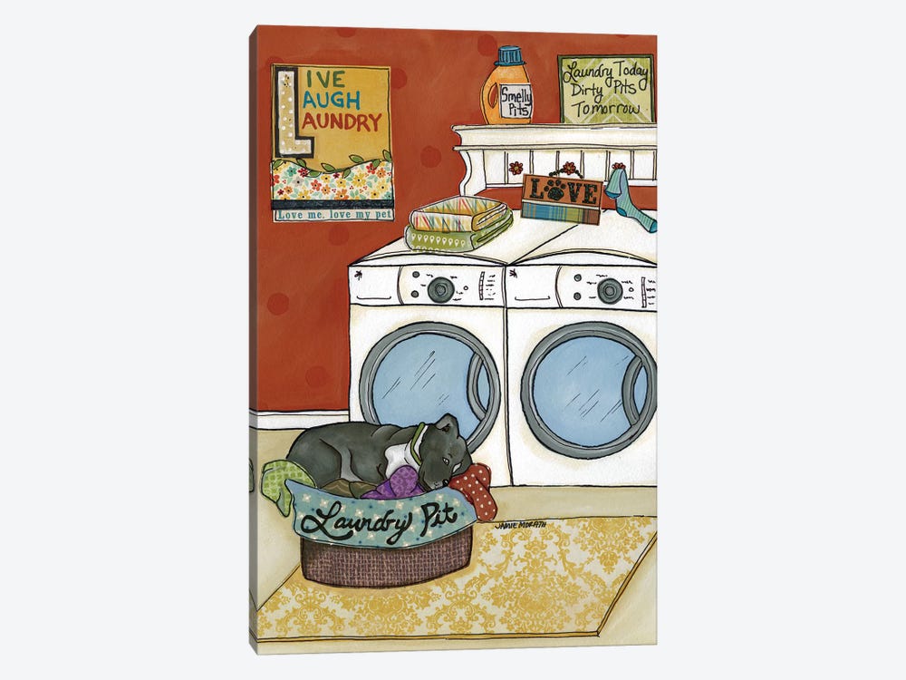 Laundry Pit 1-piece Canvas Wall Art