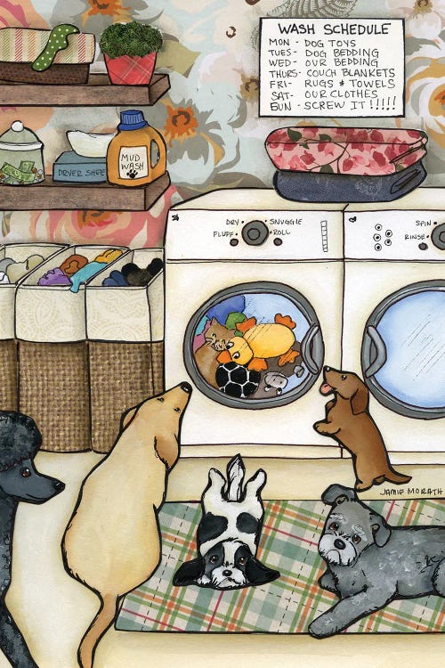 Wash Schedule by Jamie Morath wall art