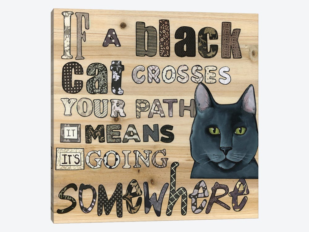 Black Cat by Jamie Morath 1-piece Canvas Print