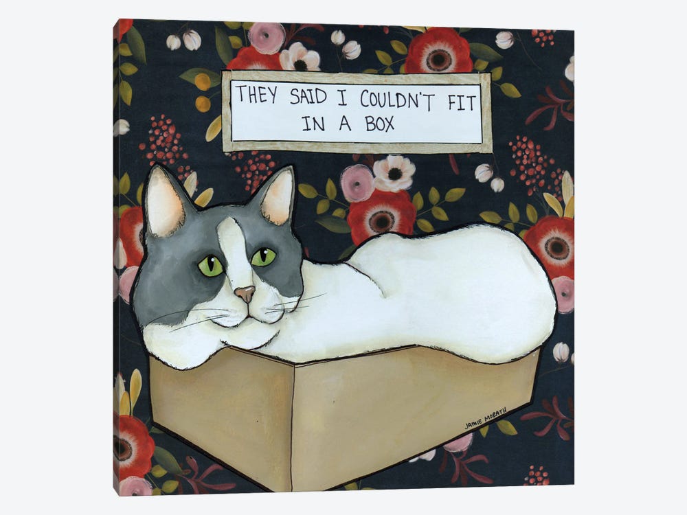 Fit In A Box by Jamie Morath 1-piece Canvas Art