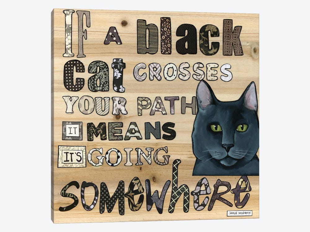 A Black Cat by Jamie Morath 1-piece Canvas Print