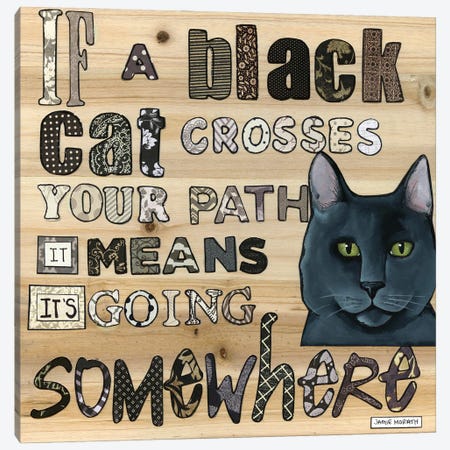 A Black Cat Canvas Print #MRH621} by Jamie Morath Canvas Art