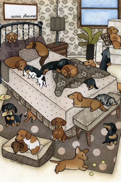 Jamie Morath: Weenie Dreams by Jamie Morath