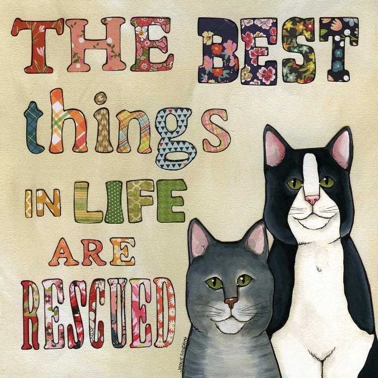 Best Things Rescued Cats