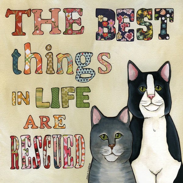 Jamie Morath: Best Things Rescued Cats by Jamie Morath