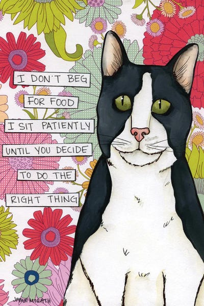 I Don't Beg by Jamie Morath canvas print